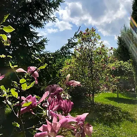 Hotel Grand Braşov